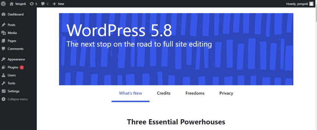 How to check WordPress version